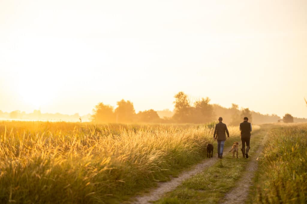 Repositionnement Packit