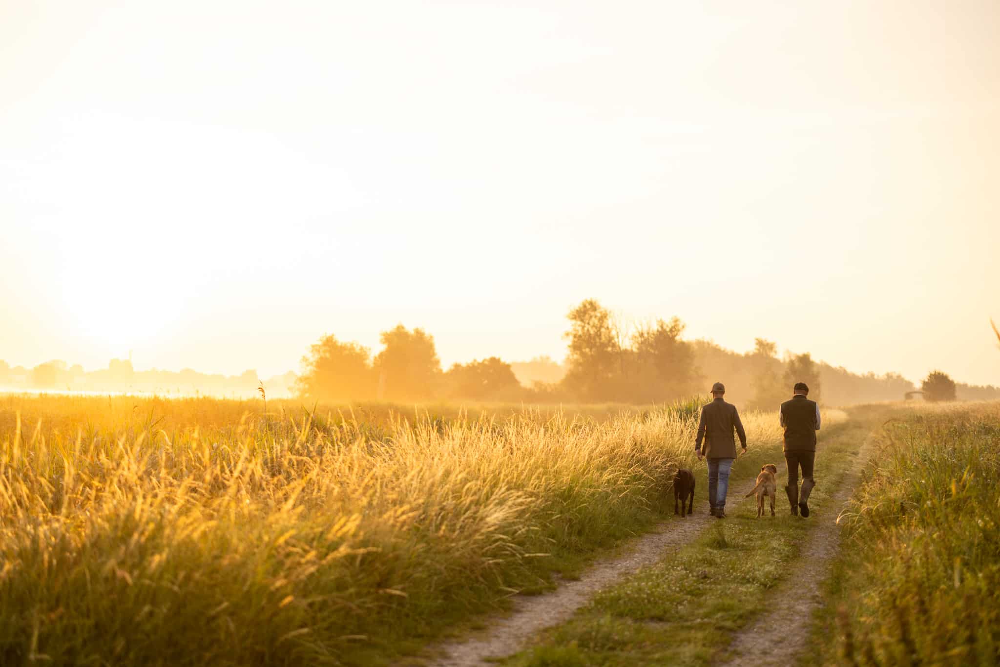 Repositionnement Packit